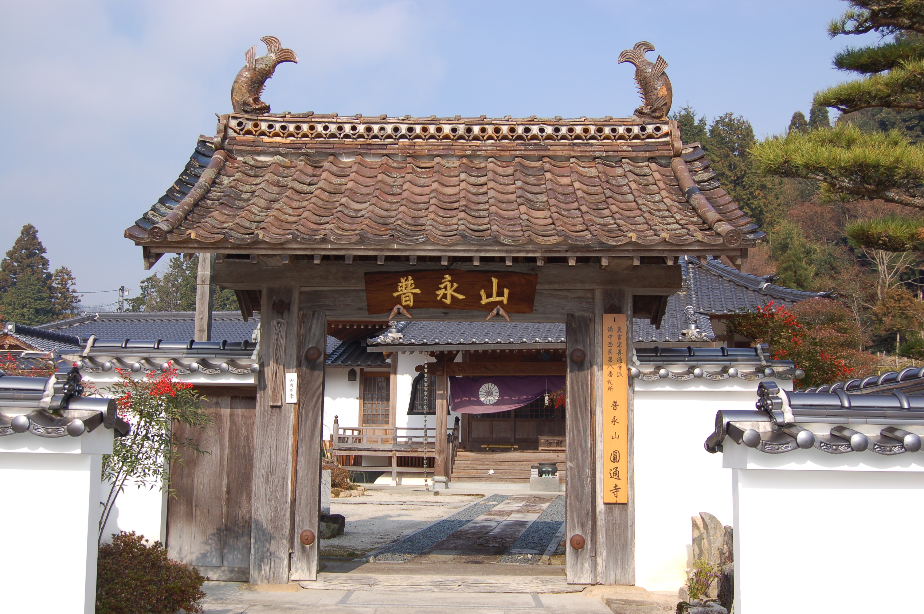 高梁川流域キッズ 圓通寺山門